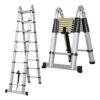 telescopic ladder