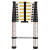 telescopic ladder